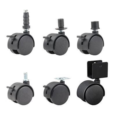 Raskeveokite costors